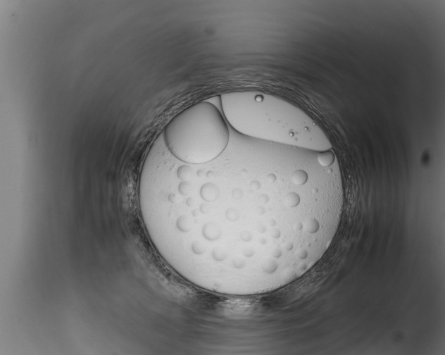 X0000116260418200911300957