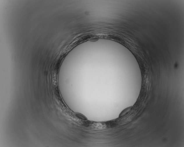 X0000116260421200911300957