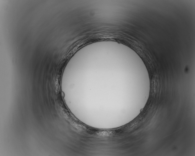 X0000116260422200911300957