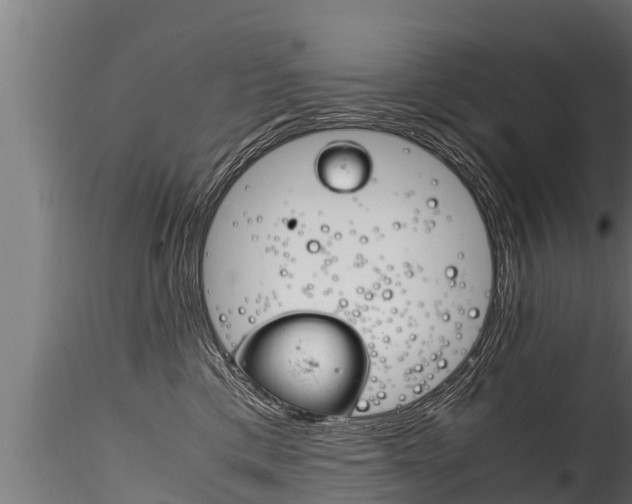 X0000116260425200911300957