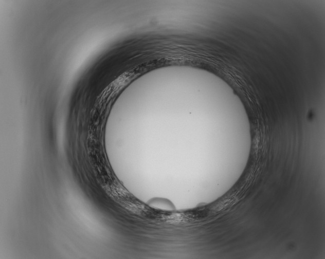 X0000116260430200911300957