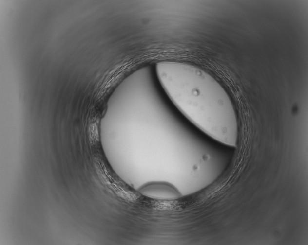 X0000116260432200911300957