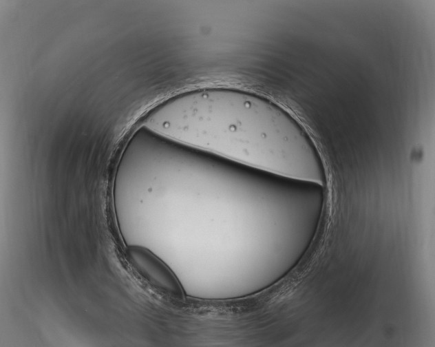 X0000116260434200911300956