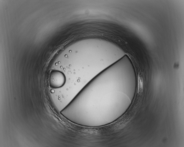 X0000116260435200911300956