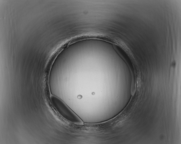X0000116260436200911300956