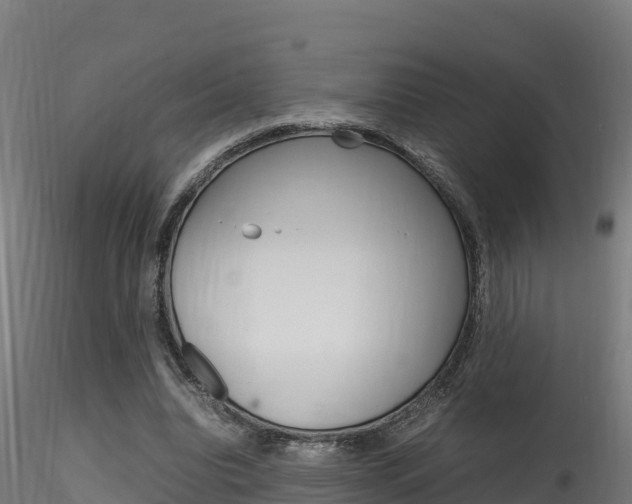 X0000116260440200911300957