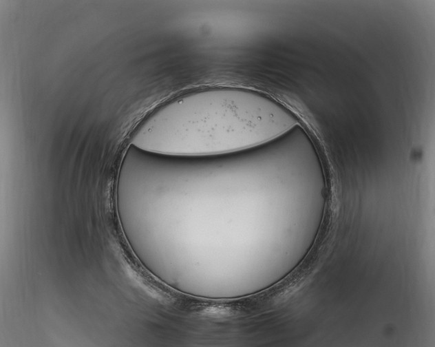 X0000116260441200911300957