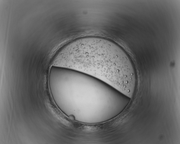 X0000116260442200911300957