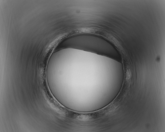 X0000116260444200911300957