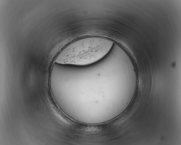X0000116260445200911300957