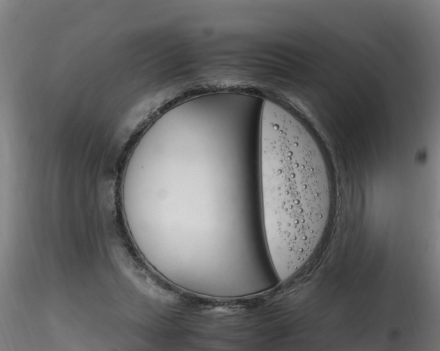 X0000116260447200911300957