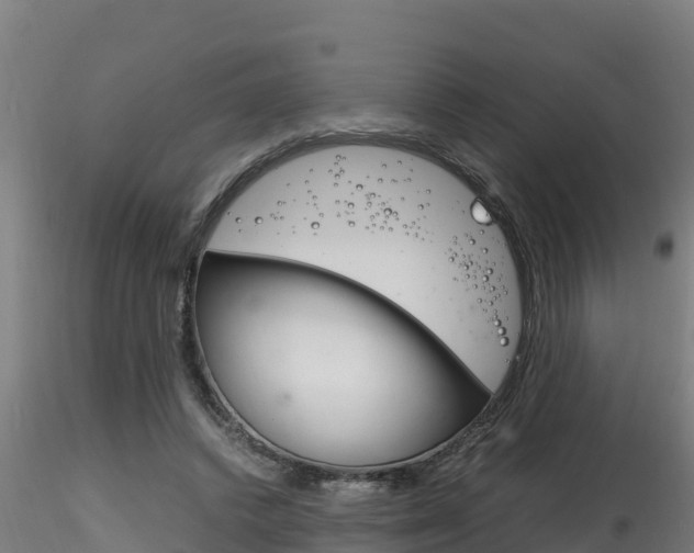X0000116260448200911300957