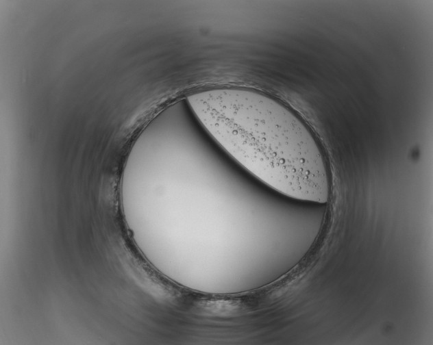 X0000116260449200911300957