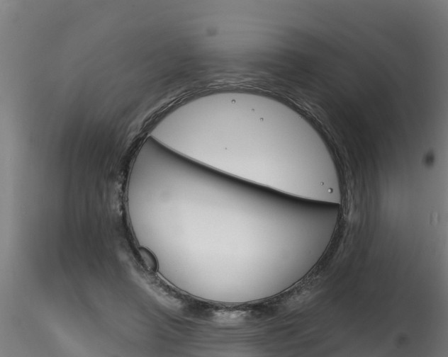 X0000116260450200911300957