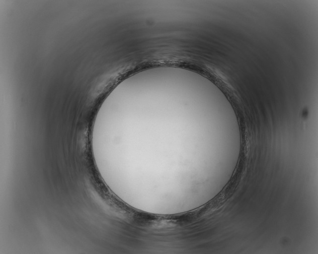 X0000116260451200911300957