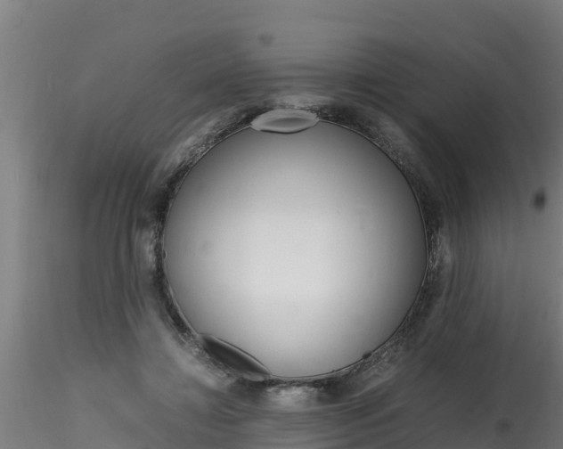 X0000116260452200911300957