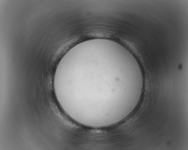 X0000116260453200911300957