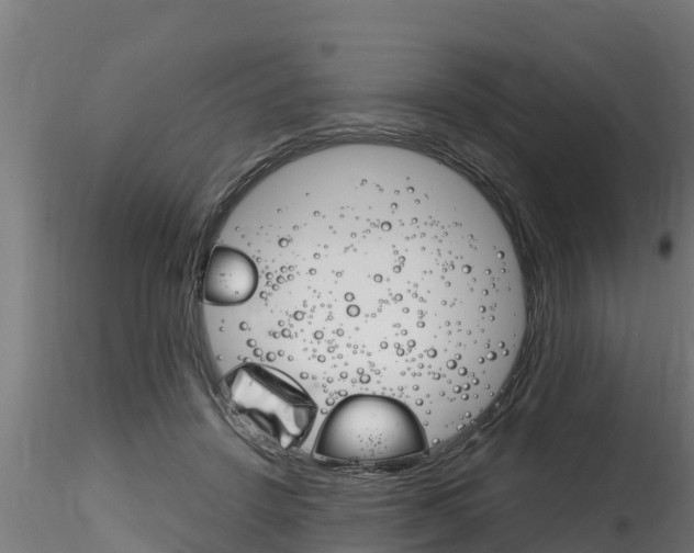 X0000116260456200911300957