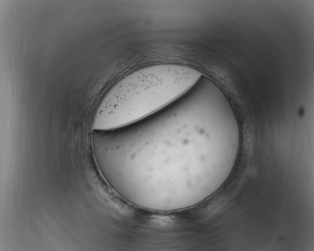 X0000116260457200911300957
