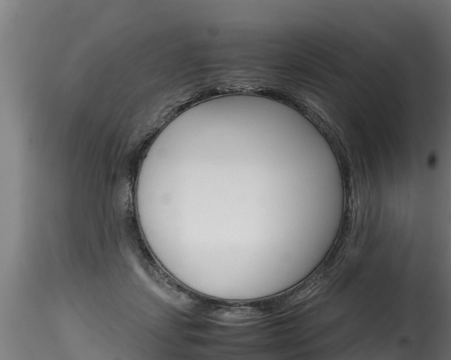 X0000116260459200911300957