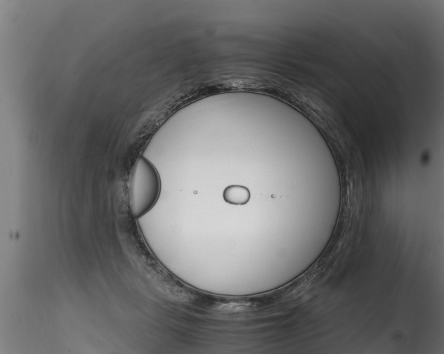 X0000116260461200911300957