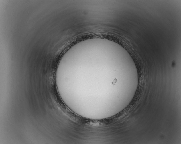 X0000116260464200911300957