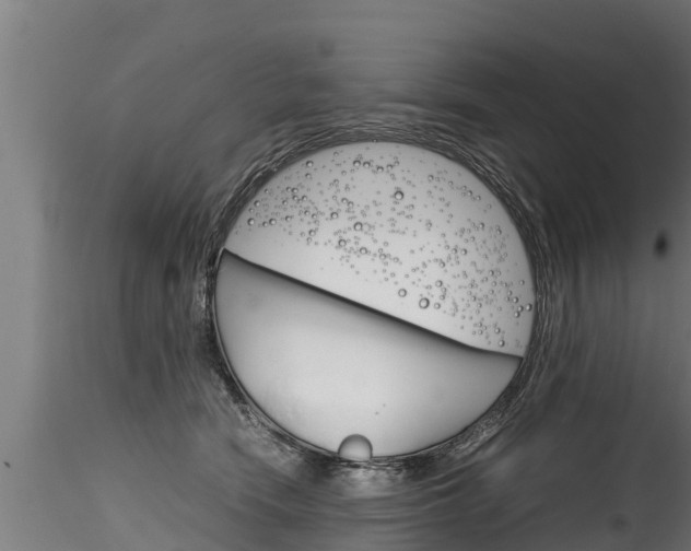 X0000116260466200911300957