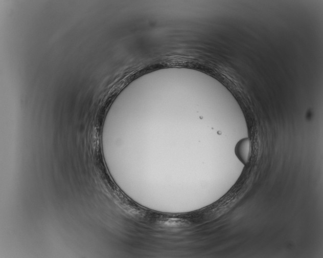 X0000116260467200911300957