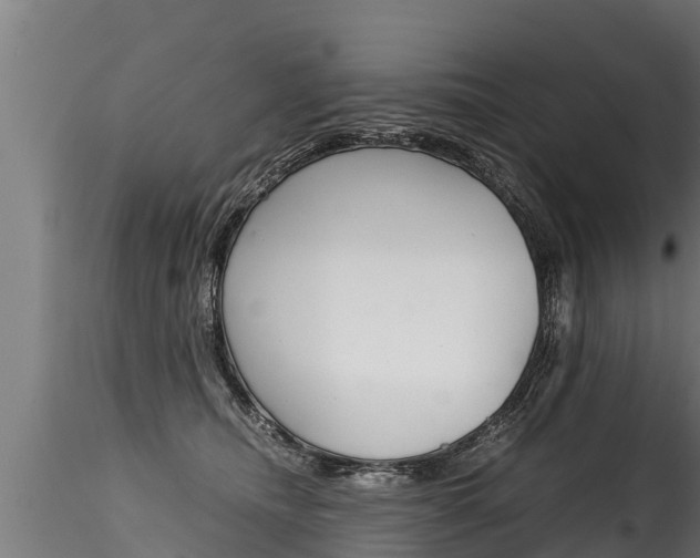 X0000116260468200911300957