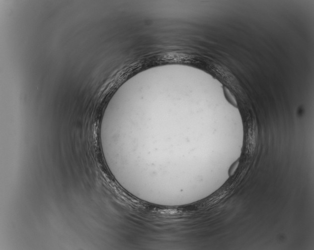 X0000116260473200911300957
