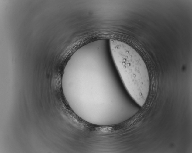 X0000116260474200911300957