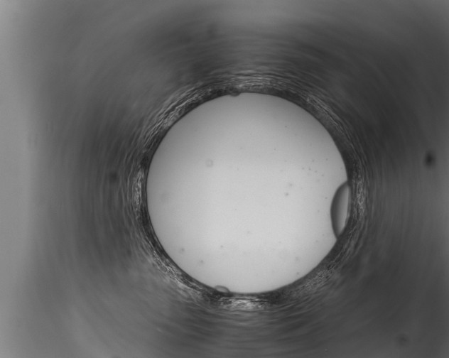X0000116260475200911300957