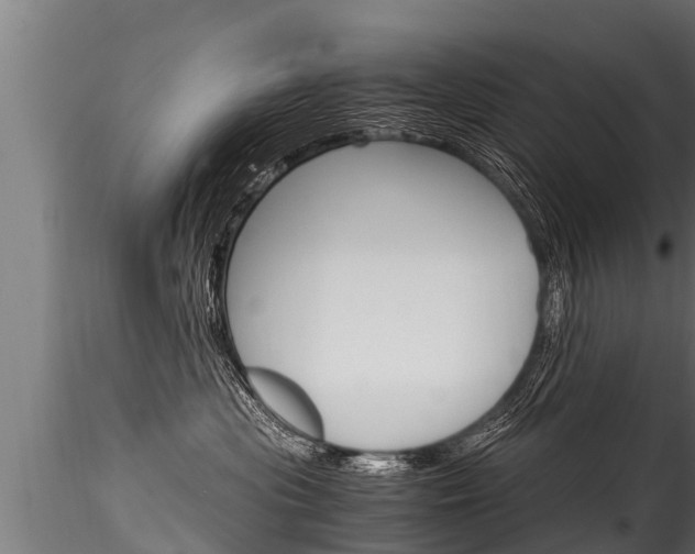 X0000116260477200911300957