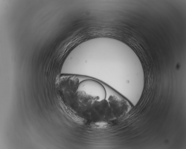 X0000116260478200911300957