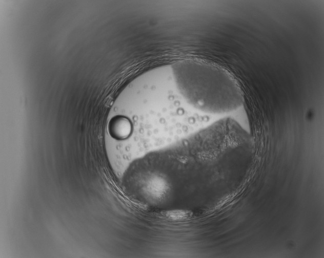 X0000116260479200911300957