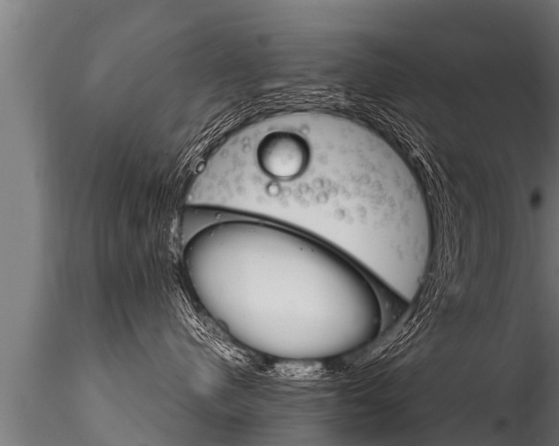 X0000116260480200911300957