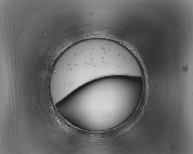 X0000116260481200911300956