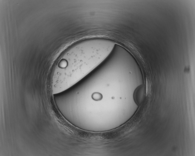 X0000116260483200911300956