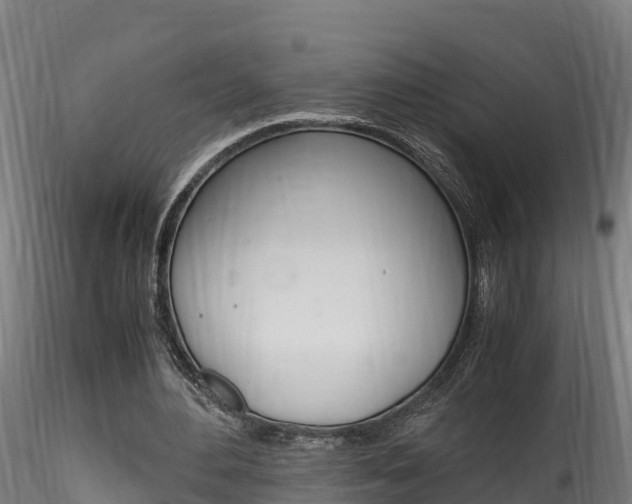 X0000116260484200911300956