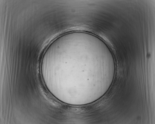 X0000116260486200911300956