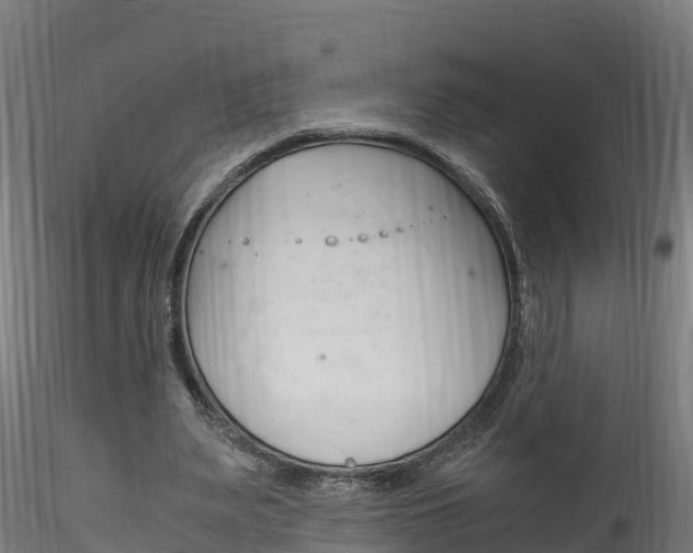 X0000116260487200911300956