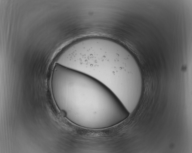 X0000116260488200911300956