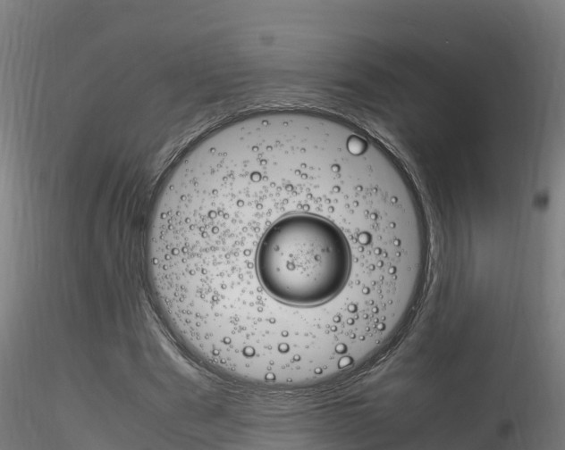X0000116260489200911300956