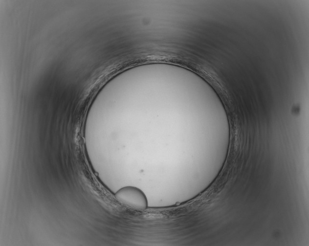 X0000116260490200911300956