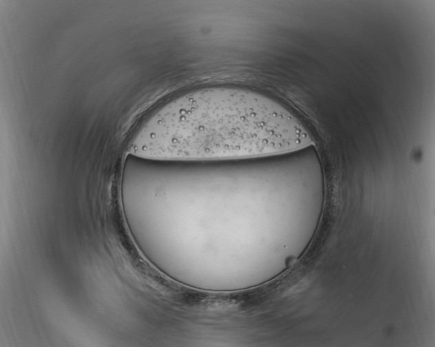 X0000116260491200911300956