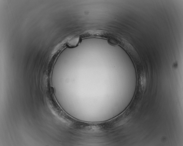 X0000116260492200911300956