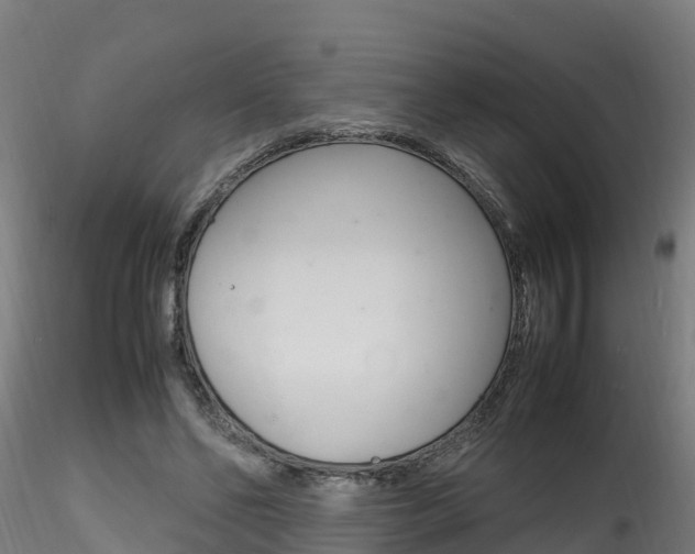X0000116260494200911300956