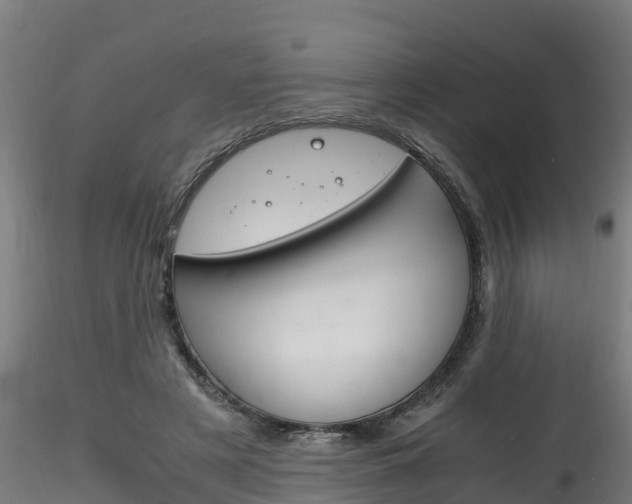 X0000116260497200911300956