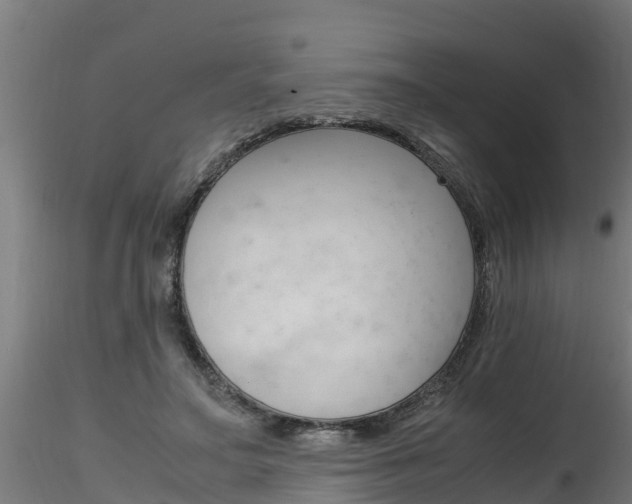 X0000116260499200911300956