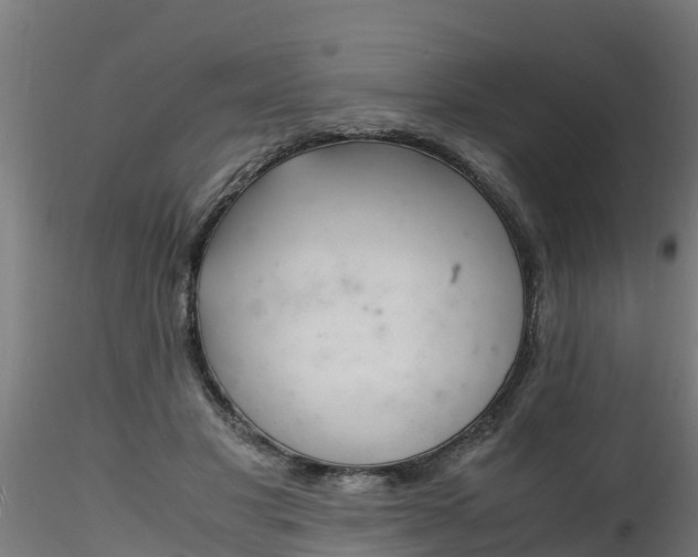 X0000116260501200911300956